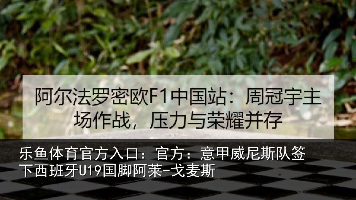 乐鱼体育官方入口：官方：意甲威尼斯队签相关情况-戈麦斯